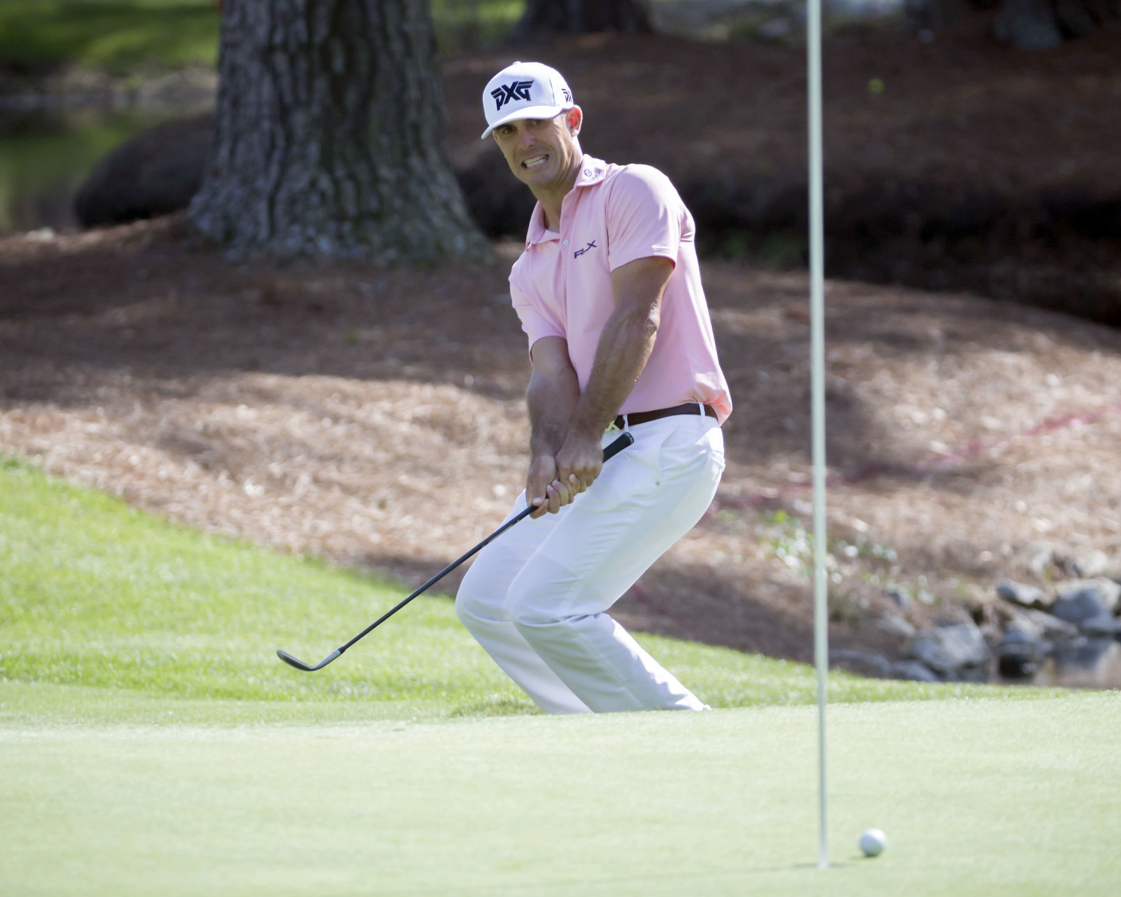 RBC Heritage Golf